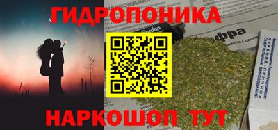 стаф Будённовск