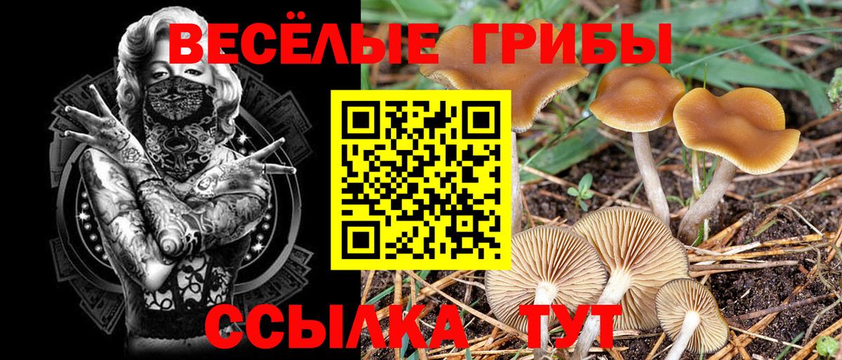 Псилоцибиновые грибы ЛСД Урус-Мартан
