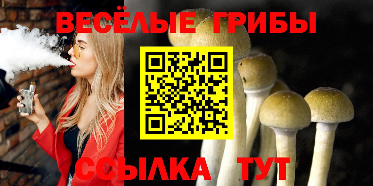 Псилоцибиновые грибы Magic Shrooms  Вход с VPN  Урус-Мартан 